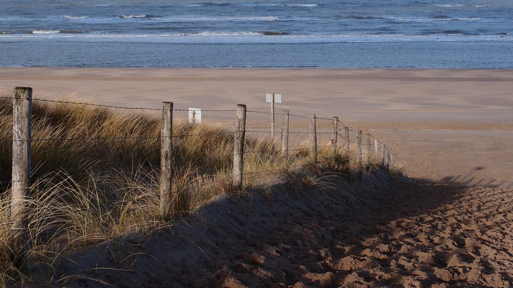 Groene omgeving met bos en duinen perfect voor genieten aan de Nederlandse kust
